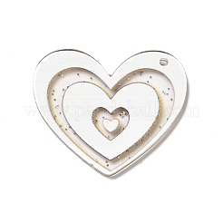 Transparent Plastic Pendants&nbsp;KY-P014-01D