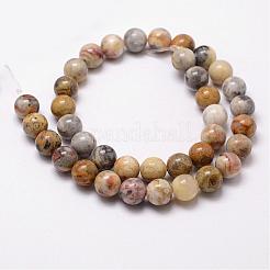 Natural Crazy Lace Agate Beads Strands&nbsp;G-D840-70-6mm