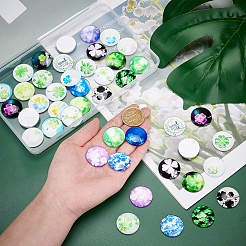 Glass Cabochons&nbsp;GGLA-PH0001-24