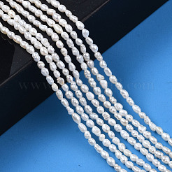 Natural Cultured Freshwater Pearl Beads Strands&nbsp;PEAR-N012-02J
