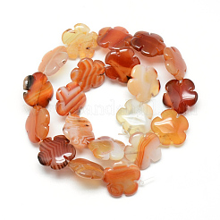 Dyed Natural Red Agate Bead Strands&nbsp;G-T003-16mm-10