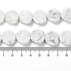 Natural Howlite Beads Strands&nbsp;G-B065-B15