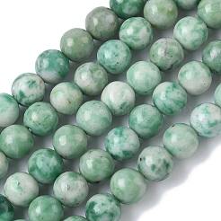 Natural Green Spot Jasper Beads Strands&nbsp;G-L651-A01-8mm