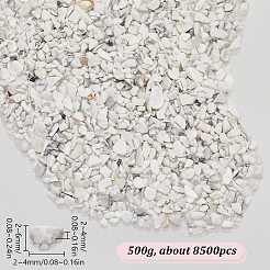 500G Howlite Chip Beads&nbsp;G-SP0001-04