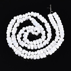 Electroplate Opaque Glass Beads Strands&nbsp;EGLA-N022-09A-C05
