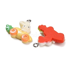 Opaque Resin Pendants&nbsp;RESI-B047-05