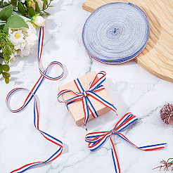 Polyester Ribbon&nbsp;OCOR-WH0816-015