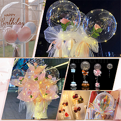 Round Transparent TPU Balloons&nbsp;AJEW-WH0314-398D