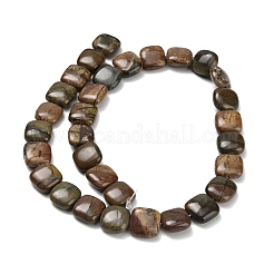 Natural Picasso Stone/Polychrome Jasper Beads Strands&nbsp;G-Z110-H02