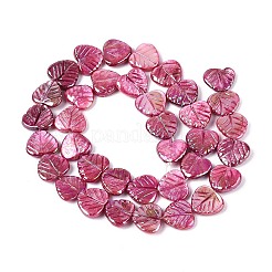 Natural Freshwater Shell Carved Beads Strands&nbsp;SHEL-N038-24