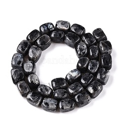Natural Larvikite Beads Strands&nbsp;G-T138-106