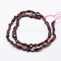 Natural Garnet Beads Strands&nbsp;G-F521-36