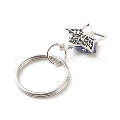 Tibetan Style Alloy Pendants Keychains&nbsp;KEYC-JKC00302