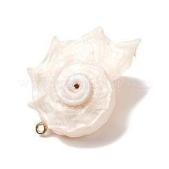 Natural Conch Shell Pendants&nbsp;SH-CBAD3AC-01