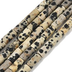 Natural Dalmatian Jasper Beads Strands&nbsp;G-B091-A19-01