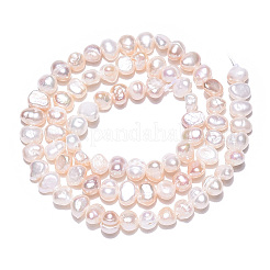 Natural Cultured Freshwater Pearl Beads Strands&nbsp;PEAR-N014-04D