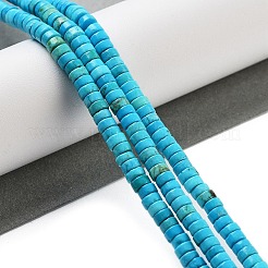 Dyed Natural Magnesite Beads Strands&nbsp;G-G121-A01-01