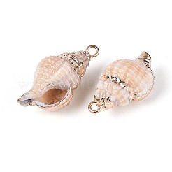 Electroplated Natural Shell Pendants&nbsp;BSHE-T015-09