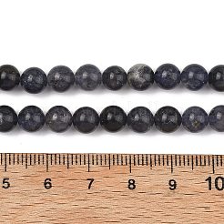 Natural Iolite Beads Strands&nbsp;G-Z148-A01-6mm