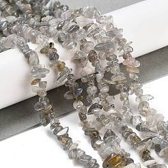 Natural Labradorite Beads Strands&nbsp;G-G0003-B43