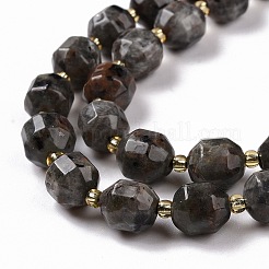 Natural Fluorescent Syenite Rock(Glow under UV Light) Beads Strands&nbsp;G-G990-F01