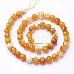 Natural Fire Crackle Agate Beads Strands&nbsp;G-D210-8mm-M2