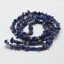 Natural Lapis Lazuli Beads Strands&nbsp;G-F328-21