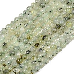 Natural Prehnite Beads Strands&nbsp;LS-GG-CBA7D2C-A01-6mm