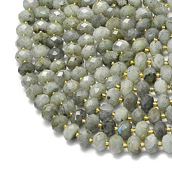 Natural Labradorite Beads Strands&nbsp;G-P573-A55-01