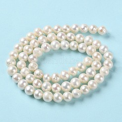 Natural Cultured Freshwater Pearl Beads Strands&nbsp;PEAR-E018-40