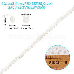 1 Strand Natural Trochus Shell Rondelle Beads Strands&nbsp;SSHEL-TA0001-16A