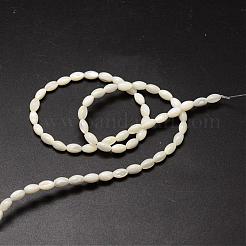 Natural Trochid Shell/Trochus Shell Beads Strands&nbsp;SSHEL-K008-06