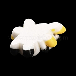 Opaque Resin Animal Cabochons&nbsp;X-CRES-M024-01C