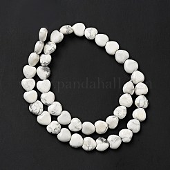 Natural Howlite Beads Strands&nbsp;G-B022-09B
