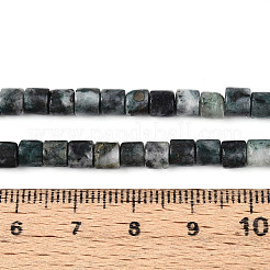 Natural Kyanite Beads Strands&nbsp;G-T141-98A