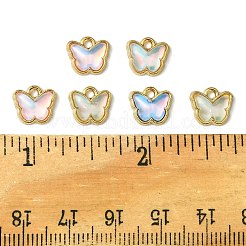 30Pcs Alloy Glass Charms&nbsp;FIND-FS0002-79