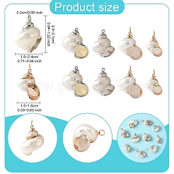 Electroplated Spiral Shell Pendants&nbsp;BSHE-YW0001-07P