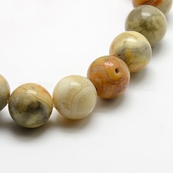 Round Natural Crazy Lace Agate Beads Strands&nbsp;G-P058D-01