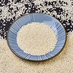 MIYUKI Delica Beads&nbsp;SEED-X0054-DB0732