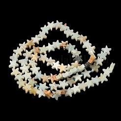 Natural Flower Amazonite Beads Strands&nbsp;G-F817-A17-01