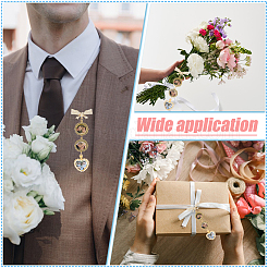 2Pcs Alloy Brooches&nbsp;JEWB-DR00031