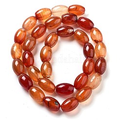 Natural Red Agate Beads Strands&nbsp;G-B106-B06-01