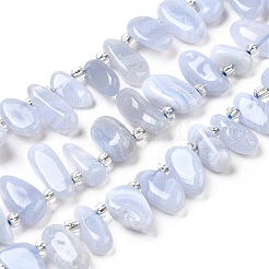 Natural Blue Lace Agate Spike Slice Beads Strands&nbsp;G-NH0046-B01-01