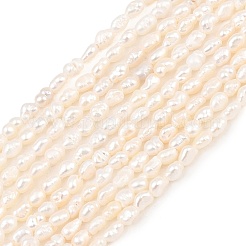 Natural Cultured Freshwater Pearl Beads Strands&nbsp;PEAR-D003-01D-01