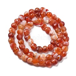 Natural Red Agate Beads Strands&nbsp;G-C179-A02-02