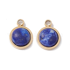 Natural Mixed Stone Charms&nbsp;STAS-H168-01G