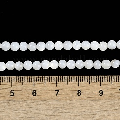 Natural Cultured Freshwater Shell Beads Strands&nbsp;BSHE-H109-03B