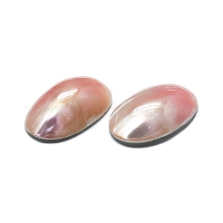 Natural Shell Cabochons&nbsp;SHEL-K008-07B