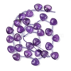 Natural Amethyst Beads Strands&nbsp;G-L654-L01-01