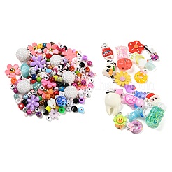 Acrylic Bead and Resin Pendant Set&nbsp;FIND-XCP0002-59